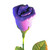 Purple Rose Balloon Flower Design Closer-Up