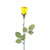 Yellow Rose Balloon Flower Design With Stem