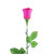 Pink Rose Balloon Flower Design With Stem