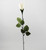 White Rose Design Balloon Flower with Stem View