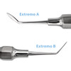 Luxator Molar