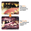 Sellador Dental Veterinario SANOS