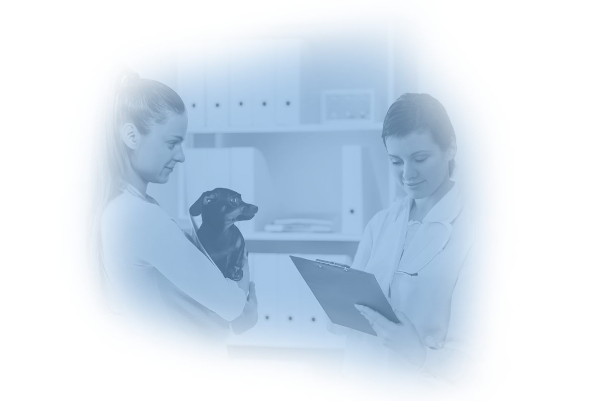 veterinary practice  talking with pet owner