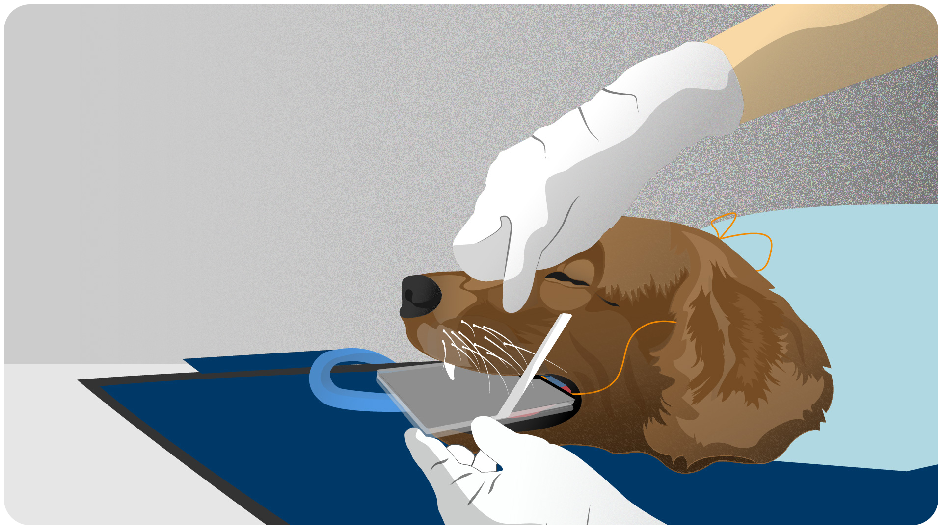 nurse with x-ray plate and dog mouth