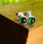 "Shop Online- Small Green Gemstone Earrings or Apatite Birthstone Studs by earthkarma" "Shop Online- Small Green Gemstone Earrings or Apatite Birthstone Studs by earthkarma"