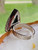 "Handcrafted large bohemian stone  ring featuring a natural turquoise gemstone and unique sterling silver textured band." "Handcrafted large bohemian stone  ring featuring a natural turquoise gemstone and unique sterling silver textured band."