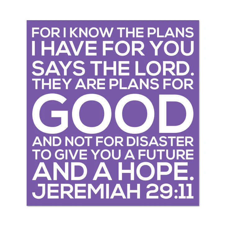 For I Know The Plans Crisp Designed Scripture Wall Decal