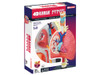 4D Human Respiratory System