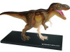 4D Vison T-Rex Vision Model