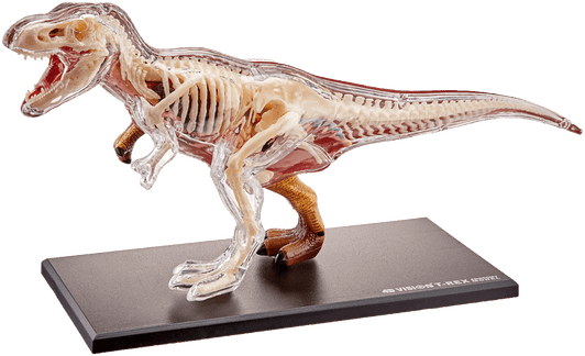 4D Vison T-Rex Vision Model