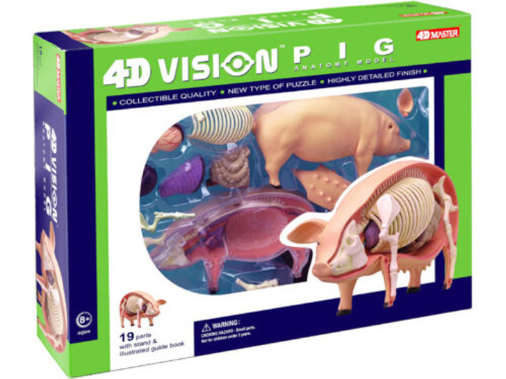 4D Vision Pig