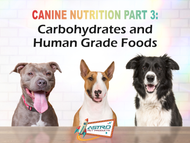 Canine Nutrition: Carbohydrates and Human-grade Foods