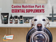 Canine Nutrition: Essential Supplements