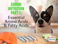 Canine Nutrition: Essential Amino Acids and Fatty Acids 