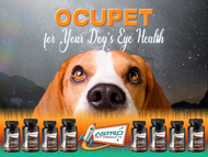 Ocupet for Your Dog’s Eye Health 