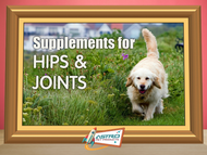 Supplements for Hips & Joints 