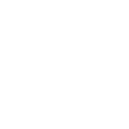Anti-Inflammatory icon