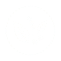 Botanical Blend