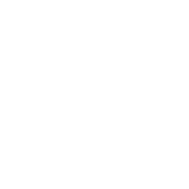 Nutrients icon