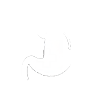 Digestion icon