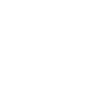 Joint icon