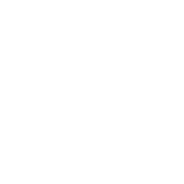 Joint Integrity icon