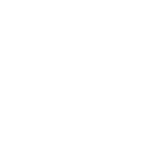 Protection shield icon