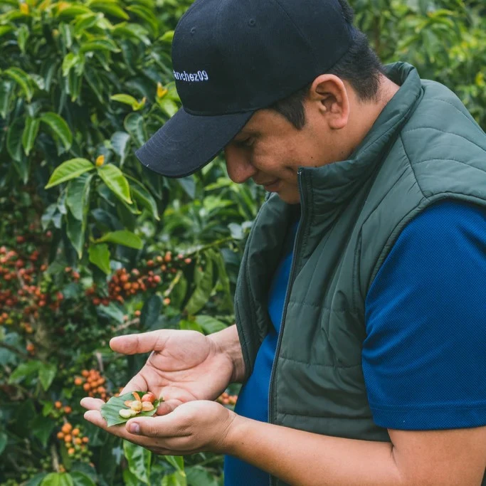 Colombia Monteblanco Purple Caturra Co-Ferment by Revel Coffee — photograph 1
