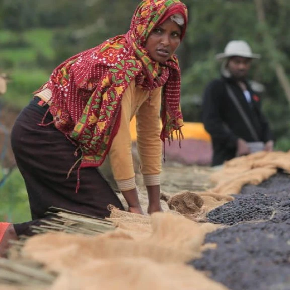 Ethiopia Natural Buku Abel by Revel Coffee — photograph 1