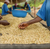 Ethiopia Guji Ismael Hassen Ethiopia Guji Ismael Hassen