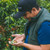 Colombia Monteblanco Purple Caturra Co-Ferment