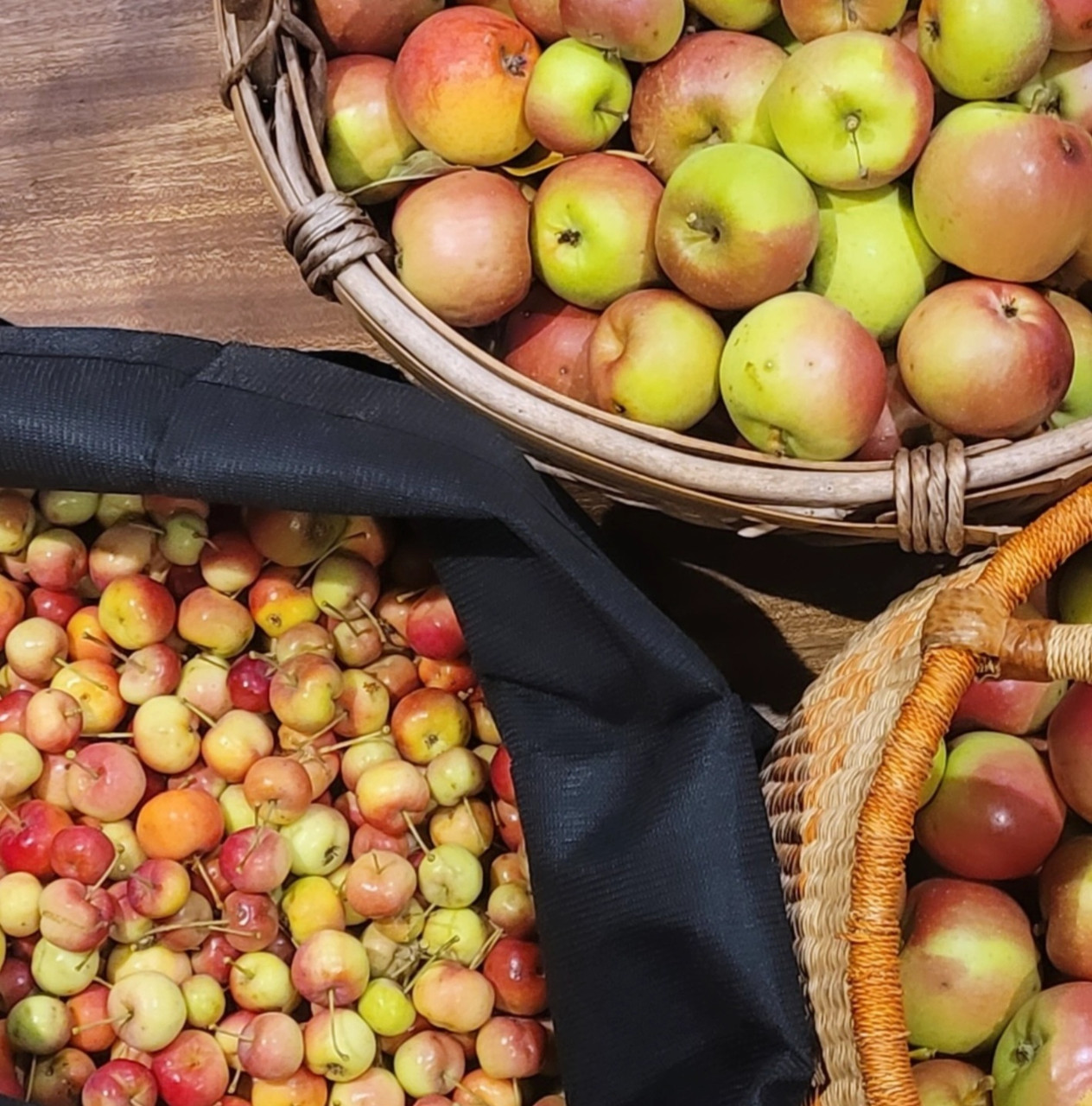 Homemade Crab Apple Juice