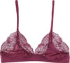 FLAUNT TRIANGLE SOFT BRA SANGRIA