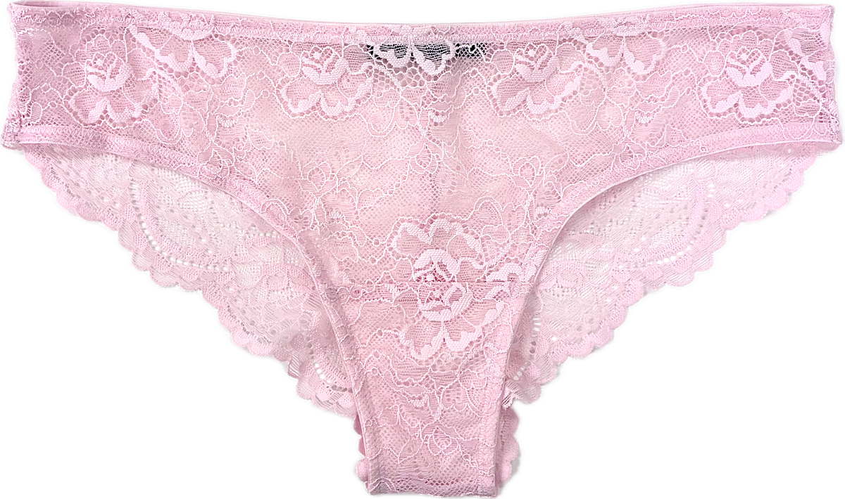 ALL LACE CLASSIC BRIEF MAGNOLIA - Samantha Chang