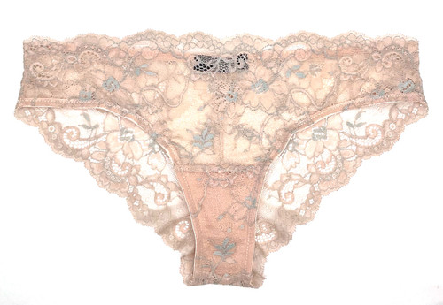 ALL LACE AMOUR BRIEF POWDER/BLUE