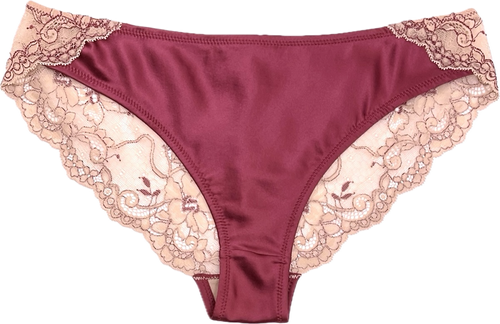 AMOUR SILK ELOISE BRIEF CRANBERRY WITH NUDE