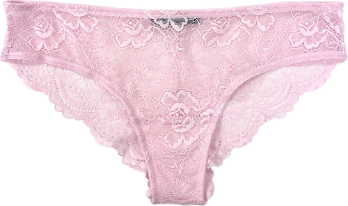 ALL LACE CLASSIC BRIEF MAGNOLIA