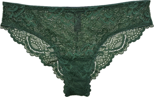 ALL LACE CLASSIC BRIEF DARK FOREST