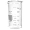 Corning Pyrex #1060-300, 300mL Tall Form Berzelius Beakers, with Spout, Graduated (Single)