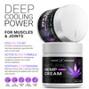 HEMP POWER Cream with Hemp, Menthol, MSM Arnica, Support Your Back, Muscles, Joints, Neck, Shoulder, Knee, Nerves - 4 Fl Oz