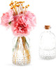 Vintage Design Embossed Clear Glass Bottles, Apothecary Flower Bud Vase with Cork Lid, Set of 2