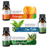 Essential Oils for Diffusers for Home - Set of 6 - Tea Tree, Rosemary, Lavender, Peppermint, Orange, Eucalyptus - Essential Oil Set - 4 Rotang Balls - Perfect Starter Gift Kit