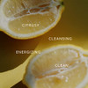 Organic Lemon, 100% Pure Premium Essential Oil (0.3 fl.oz)