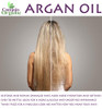 Pure Deodorized Argan Oil - All Natural - Moroccan Argan Oil - Filtered to Reduce Smell - Perfect for Skin, Face, Hair, Nails - Reduced Scent - (1 Gallon)