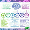 Hemp Cream x30 MSM Power ?? All-Natural Seed Oil Extract - Extra Strength Massage Lotion with Arnica, Menthol and Organic Oils