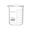 Labvida Glass Beaker, Vol. 3000ml, 3.3 Borosilicate Griffin Low Form with Printed Graduation,LVA022