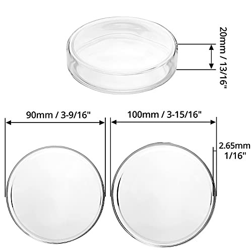QWORK Sterile Glass Petri Dish Petri Plates with Lid,5 Pack, Thicken