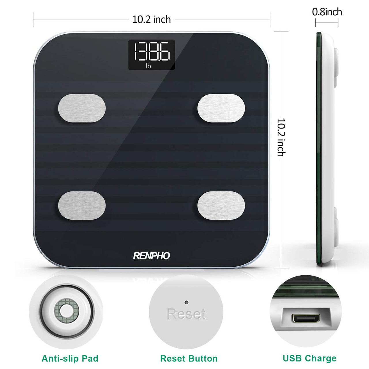 RENPHO Bluetooth Body Fat Scale, Digital Weight Scale Bathroom Smart Body  Composition Analyzer Wireless BMI Compact Scale Health Monitor with