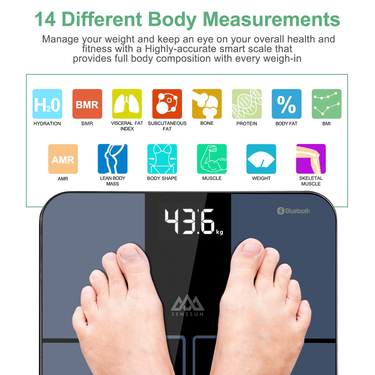 SENSSUN Bluetooth Body Fat BMI Scale, High Precision ITO Coating Bathroom  Weight Scale with Smartphone App