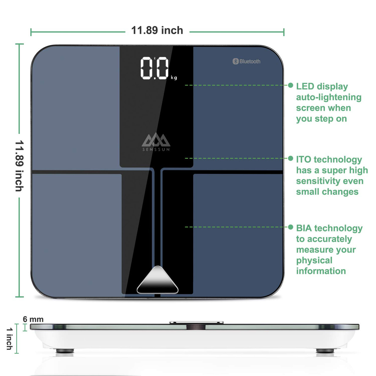 SENSSUN Bluetooth Body Fat BMI Scale, High Precision ITO Coating Bathroom Weight  Scale with Smartphone App